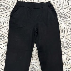 COPY - The Group Babaton (Aritzia) stretchy pants